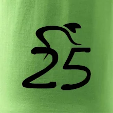 Cyklista oslavuje dvadsaťpäťku (25)