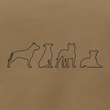 Americký stafordšírsky teriér v rôznych pozíciách