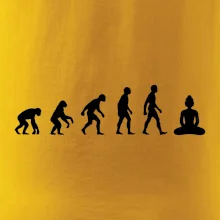 Evoluce budha