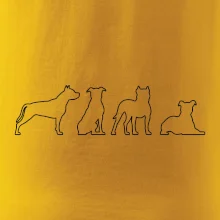 Americký stafordšírsky teriér v rôznych pozíciách Americký stafordšírsky teriér v rôznych pozíciách