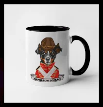 Napoleon domáci kríženec