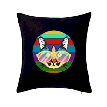 Mačka pri farebnom západe