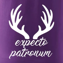 Harry - Expecto patronum Harry - Expecto patronum