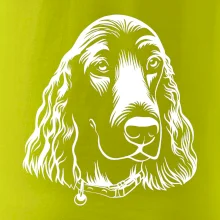 Kokeršpaniel - hlava kreslená