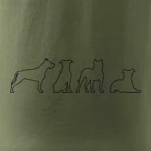 Americký stafordšírsky teriér v rôznych pozíciách