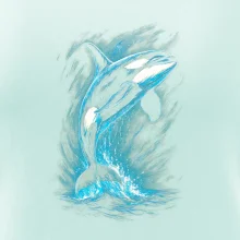 Obrázok Kosatka v skoku