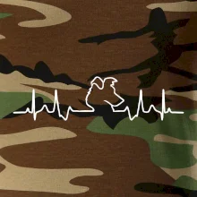 Borderská kólia EKG