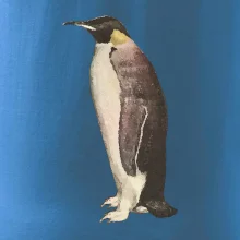 Tučniak kreslený vodovými farbami