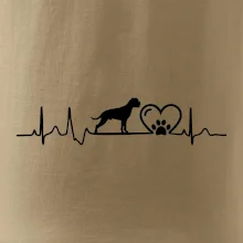 Nemecký boxer EKG