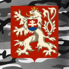 Znak maly Prvá Republika československá 1918–1920