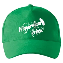 Harry - Wingardium Leviosa