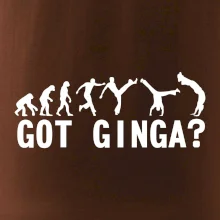 Capoeira - Got Ginga