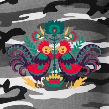 Folklór - Sliepky farebné