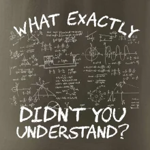 What exactly didn't you understand - physics