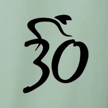 Cyklista oslavuje tridsiatku (30)