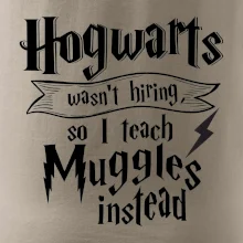 Harry - Hogwarts wasn’t hiring, so I teach Muggles instead