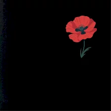 Vlčí mak kreslený na prsníku