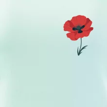 Vlčí mak kreslený na prsníku