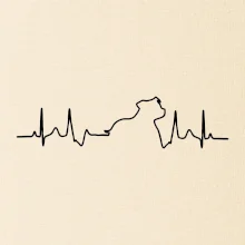 Stafordšírsky bulteriér ‎ EKG