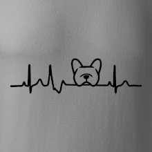 EKG Francúzsky buldoček hlava