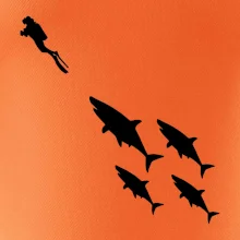 Potápač žraloky Potápač žraloky