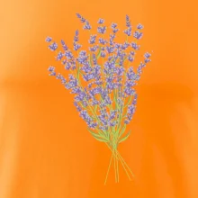 Levanduľa kreslená