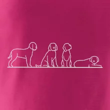 Lagotto romagnolo postavy linka