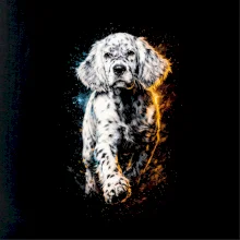 Obrázok poltón francúzsky stavač