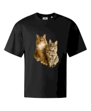 Mačky vectorizované (Moňas)