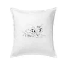 Mačka tvár kresba Mačka tvár kresba