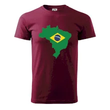 Brazília vlajka v mape
