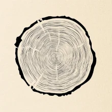 Letokruhy 70 bez veku