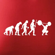 Evolution fitness Evolution fitness