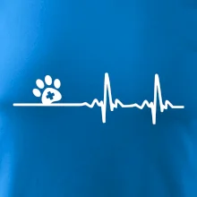 Veterinár EKG