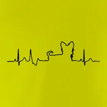 Yorkshirský teriér EKG Yorkshirský teriér EKG