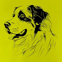 Bernský salašnícky pes čierna kresba