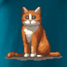 Mačka hrdzavá Mačka hrdzavá