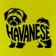 Havanese nápis v tele
