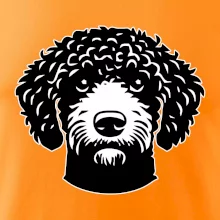 Lagotto romagnolo hlava na prsníku