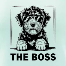 Lagotto romagnolo the boss