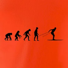 Evolúcia behu - bežky Evolúcia behu - bežky