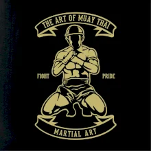 Art Of Muay Thai