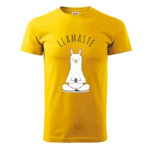 Yoga Llamaste Yoga Llamaste