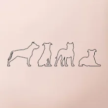 Americký stafordšírsky teriér v rôznych pozíciách