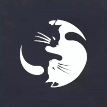 Mačka - Jin jang Mačka - Jin jang