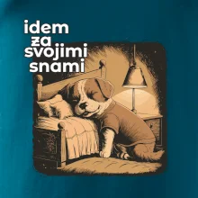 Idem za svojimi snami