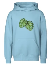 Monstera - dva listy