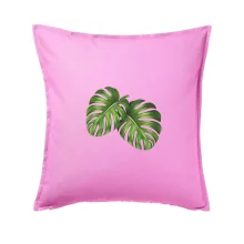 Monstera - dva listy