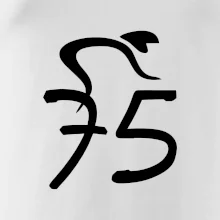 Cyklista oslavuje sedemdesiatpäťpäťky (75)