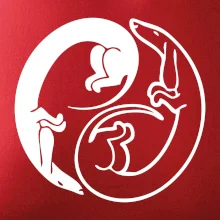 Jazvečíky - Jin jang Jazvečíky - Jin jang